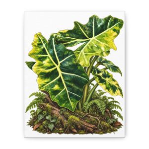 Alocasia Sanderiana Pseudo Yellow Botanical Canvas Art