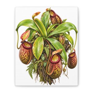 Carnivorous Pitcher Plant Matte Canvas Print