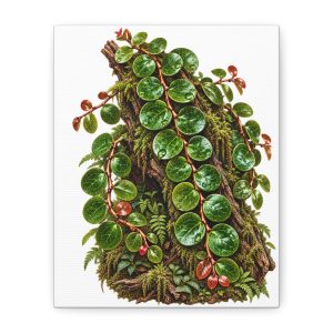 Pilea Peperomioides Botanical Canvas Print