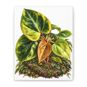 Anthurium Variegated Botanical Canvas Art