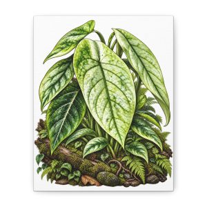 Alocasia Mint Botanical Canvas Art