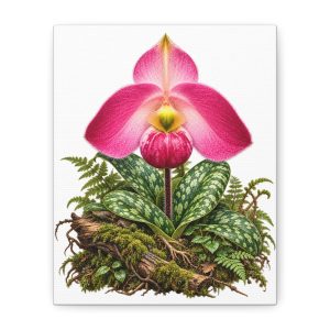 Pink Ladys Slipper Botanical Canvas Print