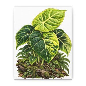 Alocasia Maharani Golden Lime Botanical Canvas Art
