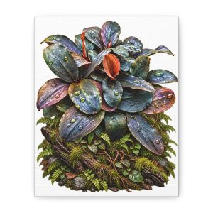 Bucephalandra Botanical Canvas Art