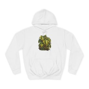 Golden Variegated Alocasia Black Velvet Unisex Hoodie
