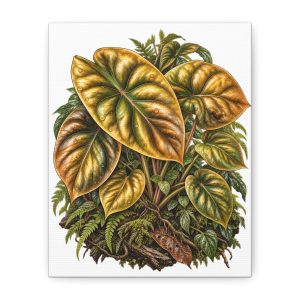 Alocasia Cuprea Golden Botanical Canvas Art