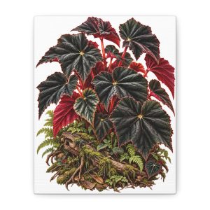 Botanical Begonia Art Canvas
