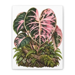 Alocasia Balloon Heart Pink Botanical Canvas Art