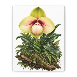 Vintage Lady's Slipper Wall Art