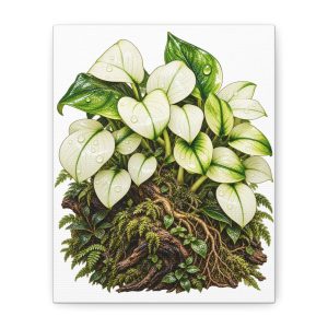 Anubias Panda White Botanical Canvas Art