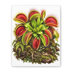 Venus Flytrap Botanical Canvas Print