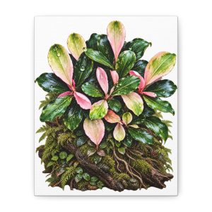 Tropical Pink Variegated Plant Canvas Wall Art